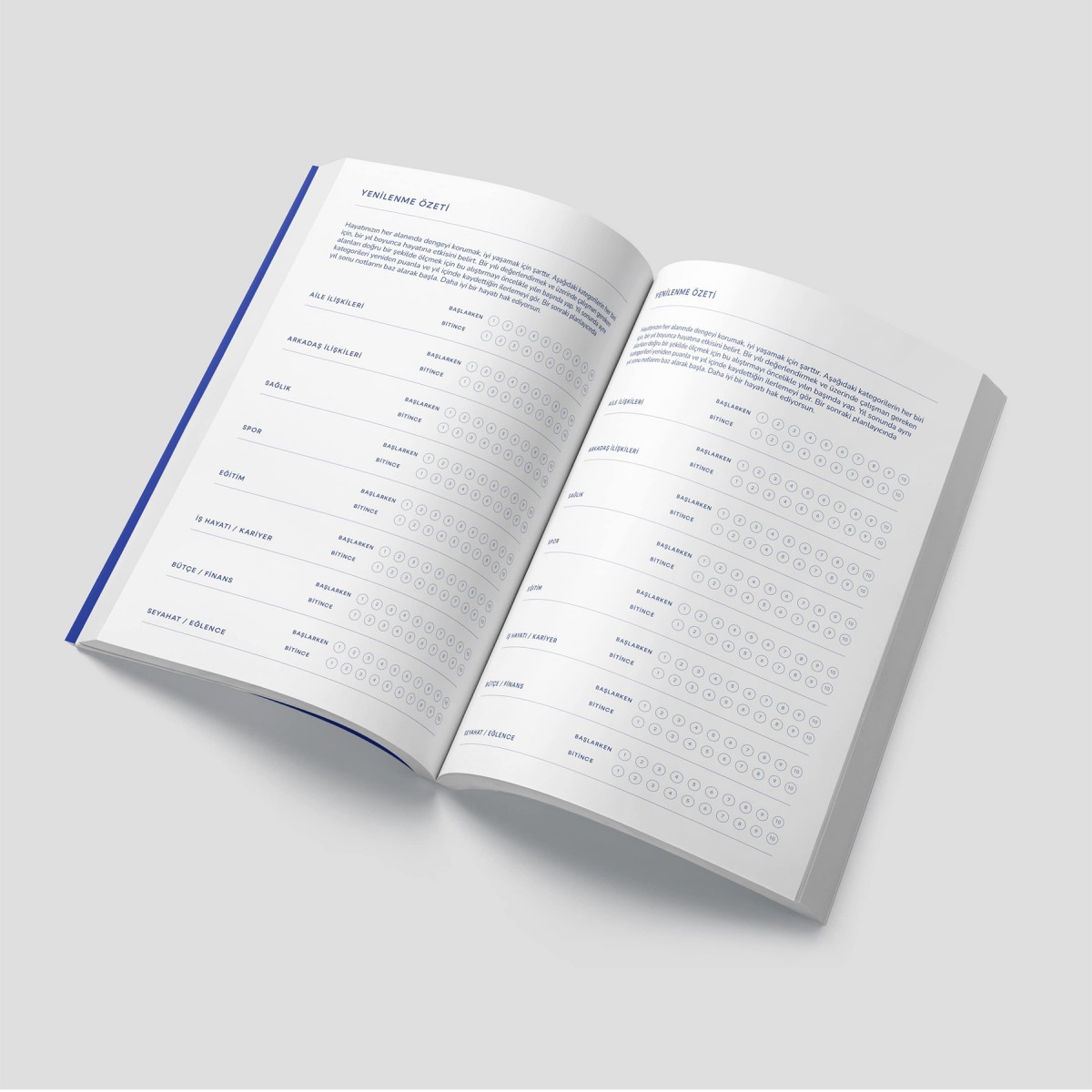 Mavi Renew Planner