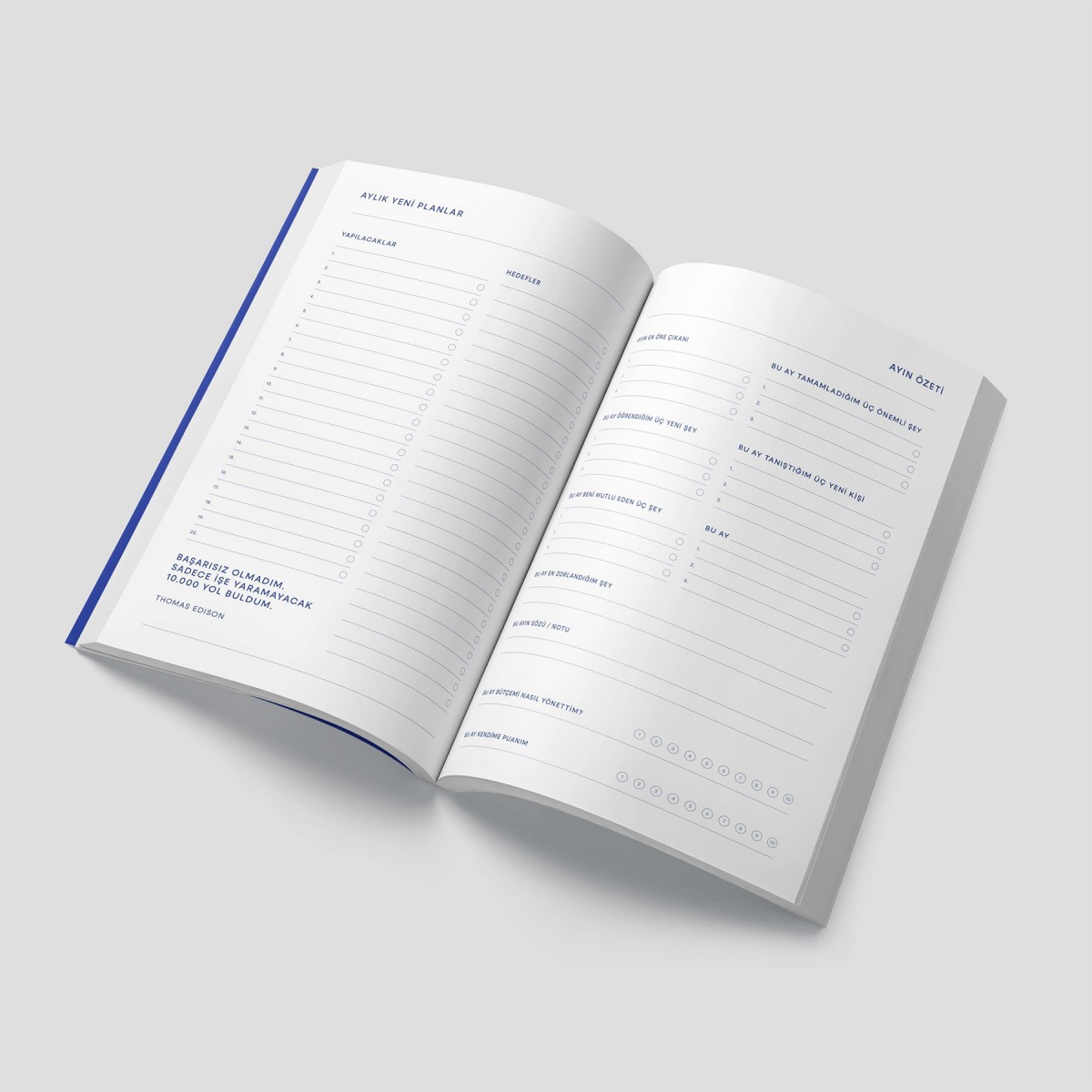 Mavi Renew Planner