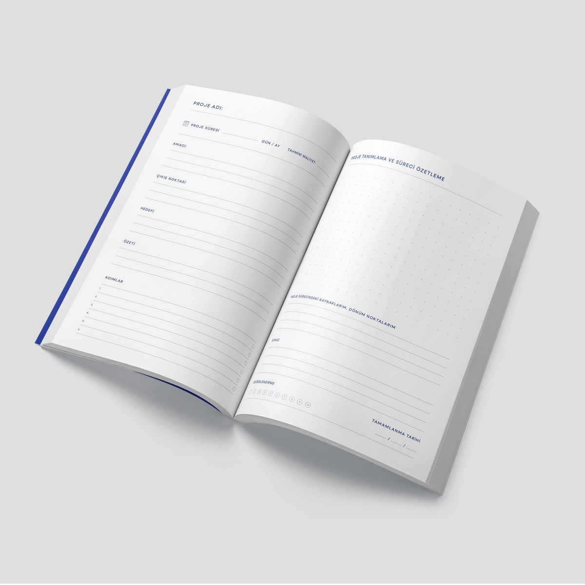 Mavi Renew Planner