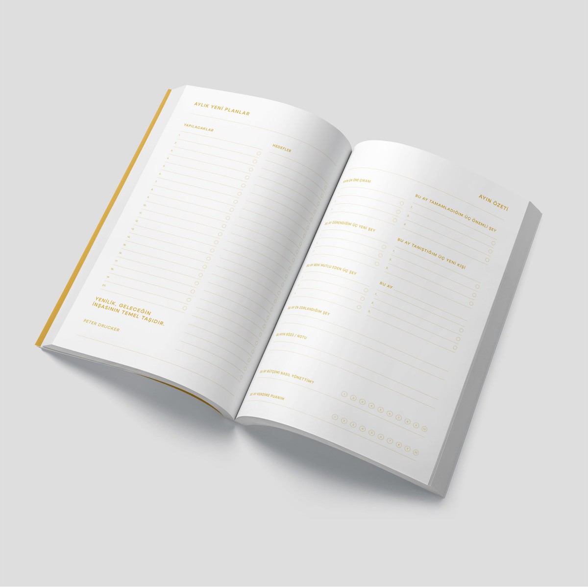 Sarı Renew Planner